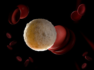 血液系统摄影照片_白细胞的 3D 渲染图