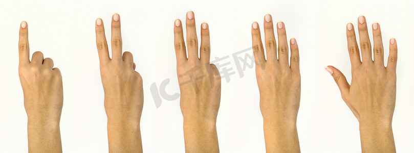 女性手指计数手势