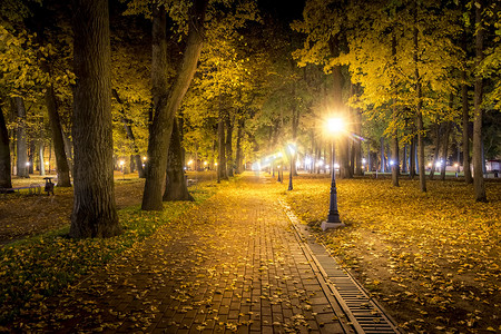 夜公园摄影照片_秋天的夜公园，黄叶落下。