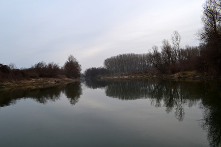 李佳琦带货摄影照片_冬季，贾努臂河岸长满了树木和植物2