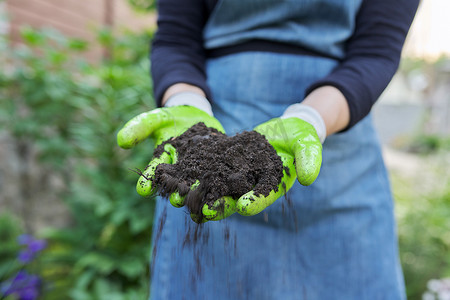 黑色肥沃土壤园艺手套中妇女手的特写