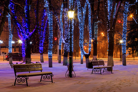 冬季公园的夜晚。
