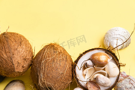海洋主题背景摄影照片_黄色背景中的椰子和贝壳。海洋主题
