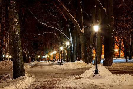 冬季公园的夜晚。