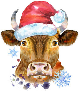 戴帽子的奶牛摄影照片_戴着圣诞帽的红牛的水彩插图