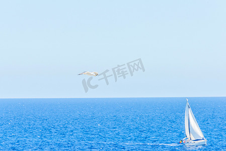 海鸥在蓝天飞翔，背景是帆船