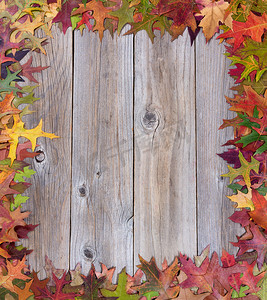 质朴木板上的初秋叶