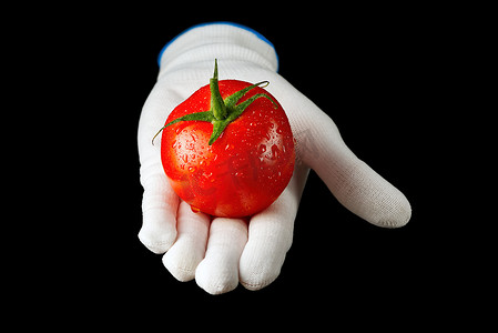 黑色背景中戴着白手套的手握着精美的鲜红西红柿