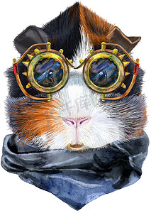 可爱蒸汽摄影照片_白色背景上戴着蒸汽朋克眼镜的阿比西尼亚豚鼠水彩肖像