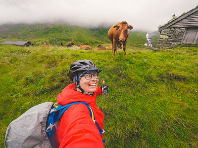 戴着头盔和雨衣的白人女游客骑自行车的人在多雨多云的天气里，自己对着挪威的山脉和一头有趣的棕色奶牛自拍。