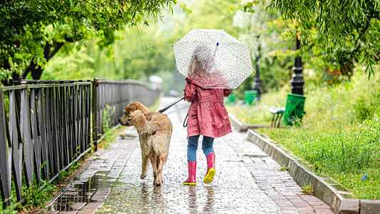 雨中遛狗的小女孩