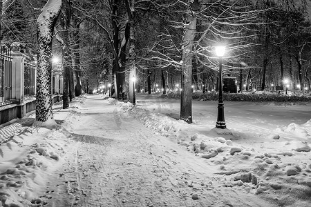 圣诞节的夜晚摄影照片_冬季公园的夜晚