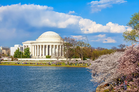 关于樱花节的摄影照片_美国华盛顿特区樱花节