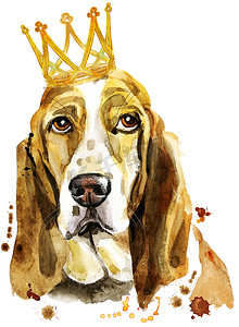 带皇冠的巴塞特猎犬水彩肖像