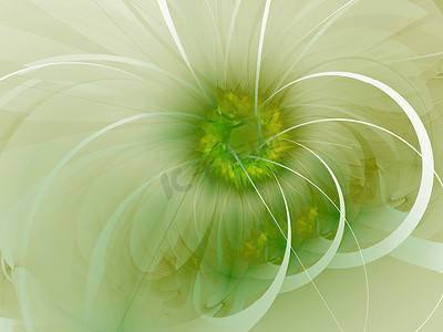 绿色花卉海报摄影照片_绿色柔和的分形花朵计算机生成图像，用于徽标、设计概念、网页、印刷品、海报。