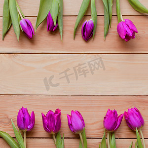 的方形图像的紫罗兰色春天郁金香花木桌上。