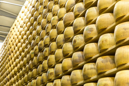 Parmigiano 奶酪工厂与老化奶酪