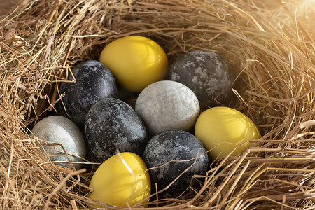 复活节组合物 — 在干草巢中涂上天然染料的黄色和蓝色复活节彩蛋