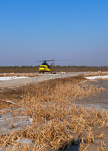 一架黄色直升机从沼泽森林苔原北部偏远地区的一个平台起飞
