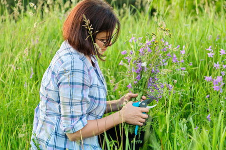 女人在春夏草地上采摘野花的铃铛。