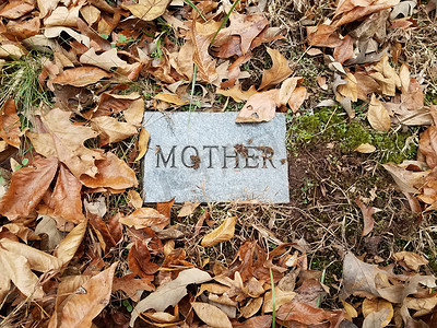 大理石墓碑摄影照片_墓地花岗岩或大理石墓碑上的母亲