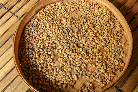 由竹条制成的柳条长袍，里面装满了新鲜的猫屎咖啡豆。