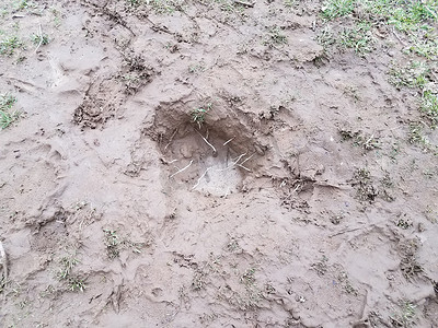泥水摄影照片_草地上有泥水和泥巴的洞