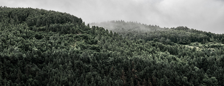 塞特摄影照片_罗马尼亚特兰西瓦尼亚布拉索夫 Moieciu de Jos 山林的冬季全景景观