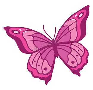 粉红蝴蝶摄影照片_粉红蝴蝶，插图，白色背景上的矢量