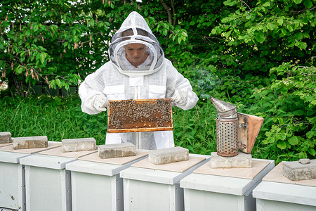 养蜂业中有蜜蜂蜡框的女人
