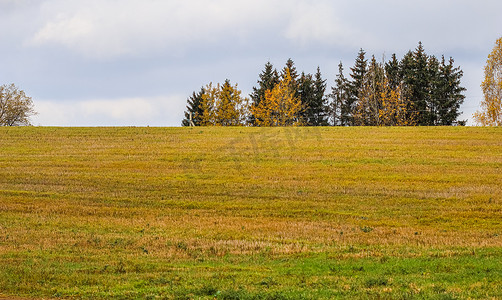 秋天的田野摄影照片_秋天的田野和森林。
