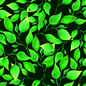 无缝水彩图案与深绿色背景上的绿色叶子。