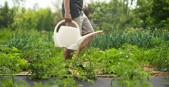 徽州农田摄影照片_农夫正在花园里浇水。