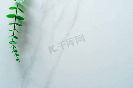 白色色调大理石纹理抽象背景的顶视图，以绿色天然叶子作为框架装饰。白色色调大理石纹理抽象背景的顶视图，以绿色天然叶子作为框架。