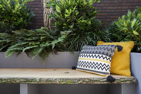 舒适的座椅、带彩色枕头的木制沙发、舒适的花园座椅、绿色植物和现代装饰