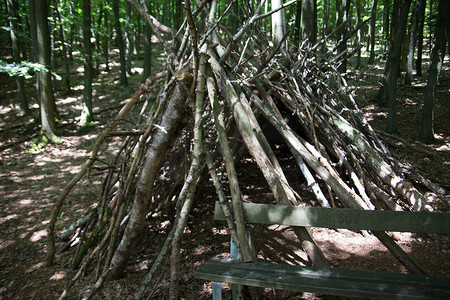 用树枝搭建的原始森林小屋