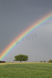 下雨农村风景摄影照片_彩虹绿色田野