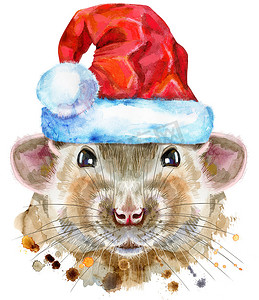 带飞溅的圣诞老人帽子的白鼠水彩肖像