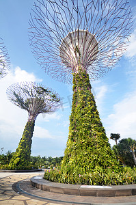 滨海湾花园摄影照片_滨海湾花园的超级树