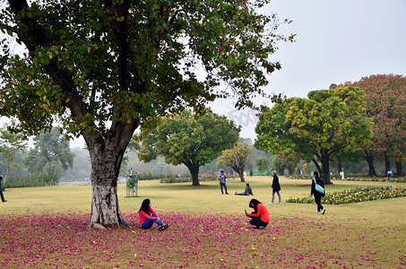 印度昌迪加尔 — 2015年1月4日：游客参观扎基尔侯赛因玫瑰园