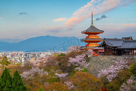 日本樱花季期间的京都老城