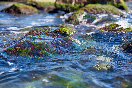 水下藻类摄影照片_海水表面、水下藻类和石头
