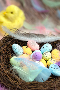 粉色小鸡摄影照片_鸟巢中的复活节彩蛋，复活节，春天，背景黄色小鸡的自然概念背景