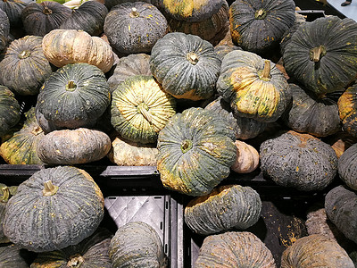 秋天超市装饰摄影照片_超市货架上的新鲜南瓜。