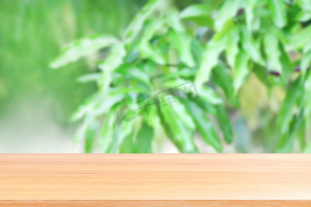 清新芒果背景摄影照片_木板模糊的芒果叶树绿色清新背景，芒果树上的空木桌地板模糊​​在花园种植园景观中，木桌板空前芒果叶绿色模糊背景