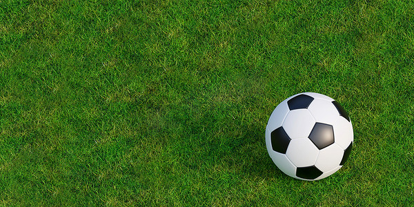 绿草草坪纹理上的足球或足球，3d 插图