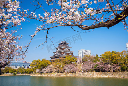 樱花季的广岛城