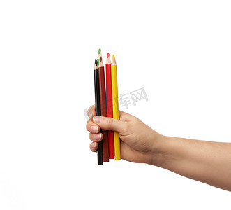 握铅笔摄影照片_女手握着多色木铅笔