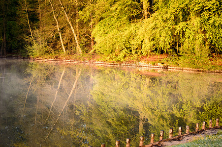 出水素果摄影照片_清晨的阳光和湖面上的倒影