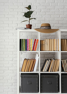 书架与植物帽子。